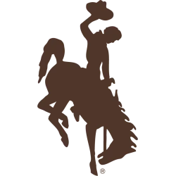 Wyoming Cowboy