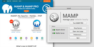 MAMP homepage and server window