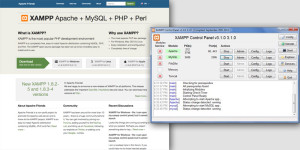XAMPP homepage and server window